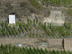 Moselwinzer trifft Weinliebhaber 14.03.2026 Beginn 19.00 Uhr   --fast ausgebucht--