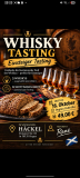 Whisky Einsteiger Tasting